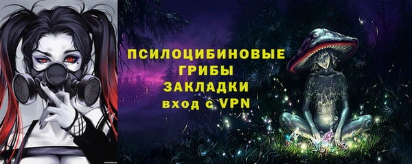 крисы Куйбышев