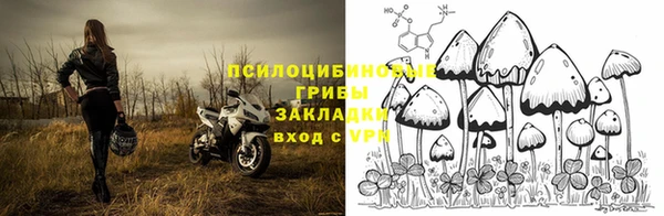 Альфа ПВП Ладушкин