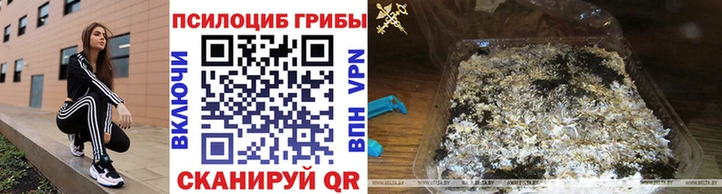 Псилоцибиновые грибы мухоморы  Невьянск 